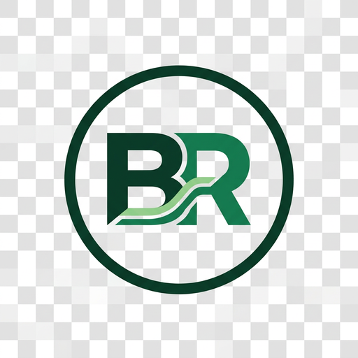 BR Capital